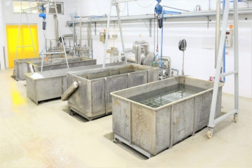 PASTEURIZING SYSTEM